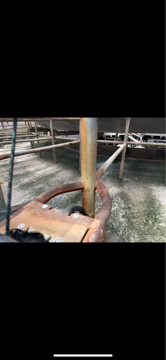 40unit Waikato milking machine rotary - Image 4