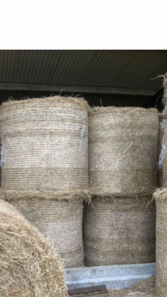 Hay / Hayledge - Image 3