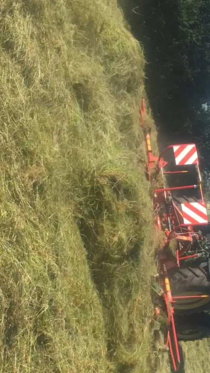 Hay / Hayledge - Image 1