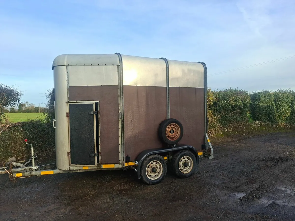 Ifor Williams 505 Horsebox - Image 2