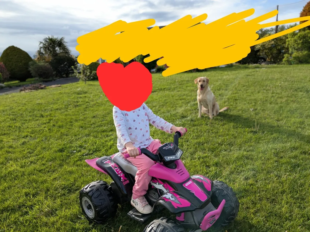 Peg Perego Corral T-Rex Pink+2x12V batteries - Image 2