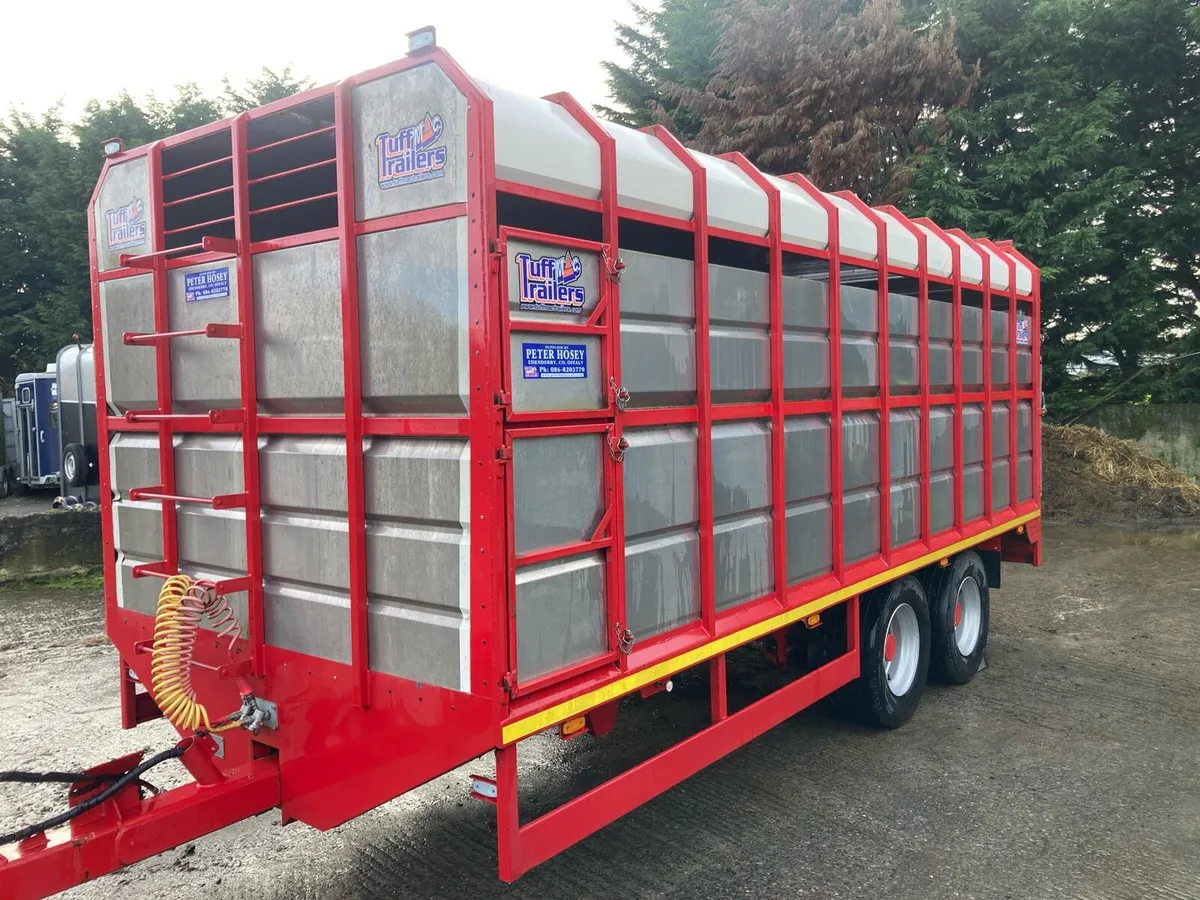 2021 Tuffmac 20 ft livestock trailer - Image 3