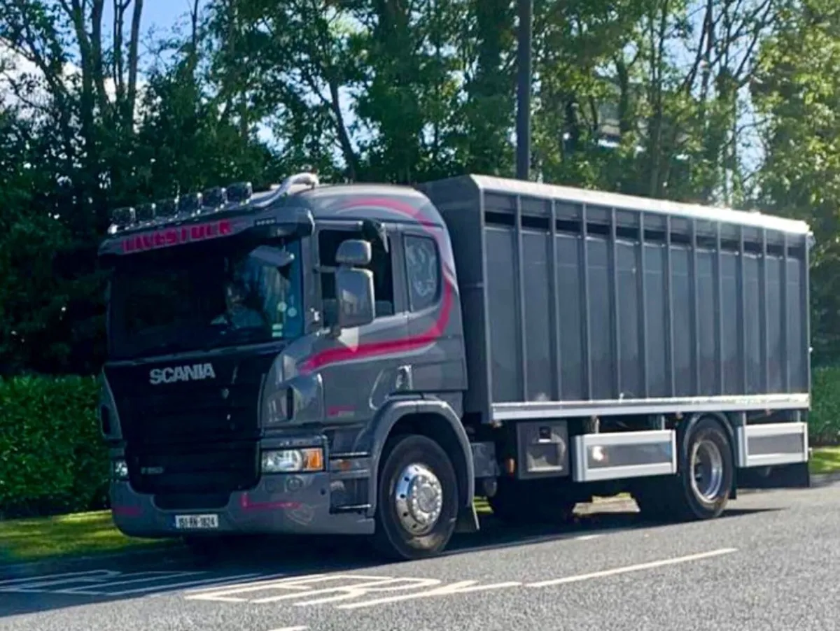 C M C CALF SUPPLIES THE HOME OF QUALITY CALVES - Image 3