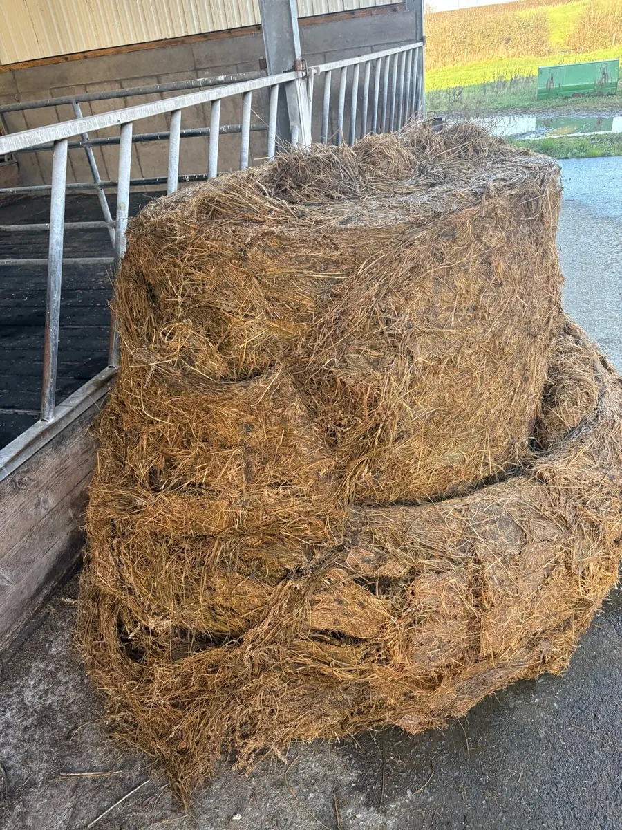 Silage bales - Image 2