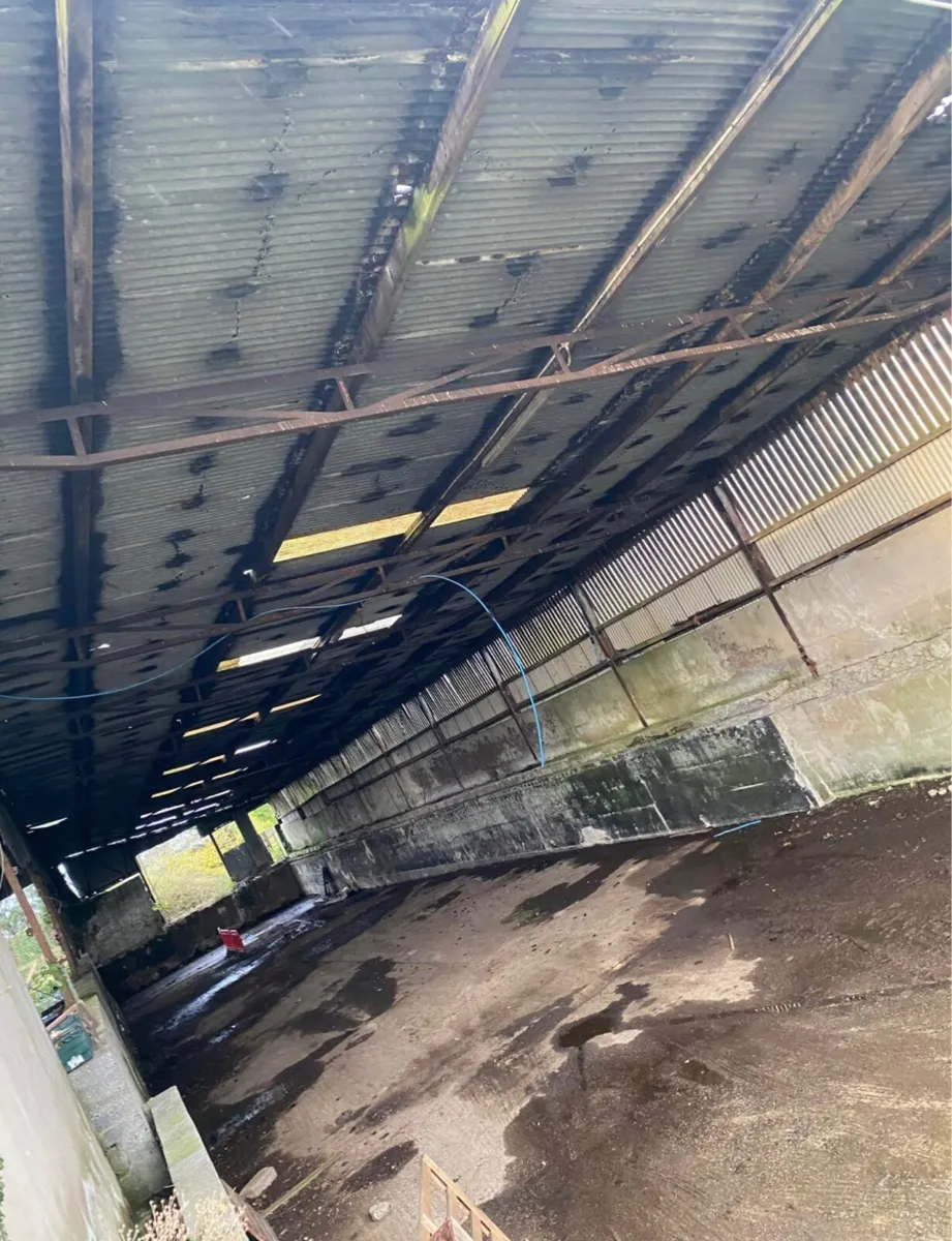 Sheds & Lean to for Sale - Image 3