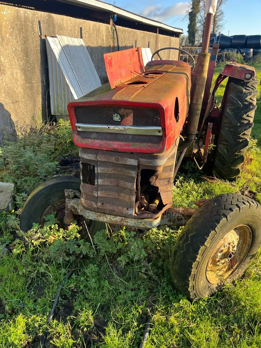 Massey Ferguson 165 - Image 2