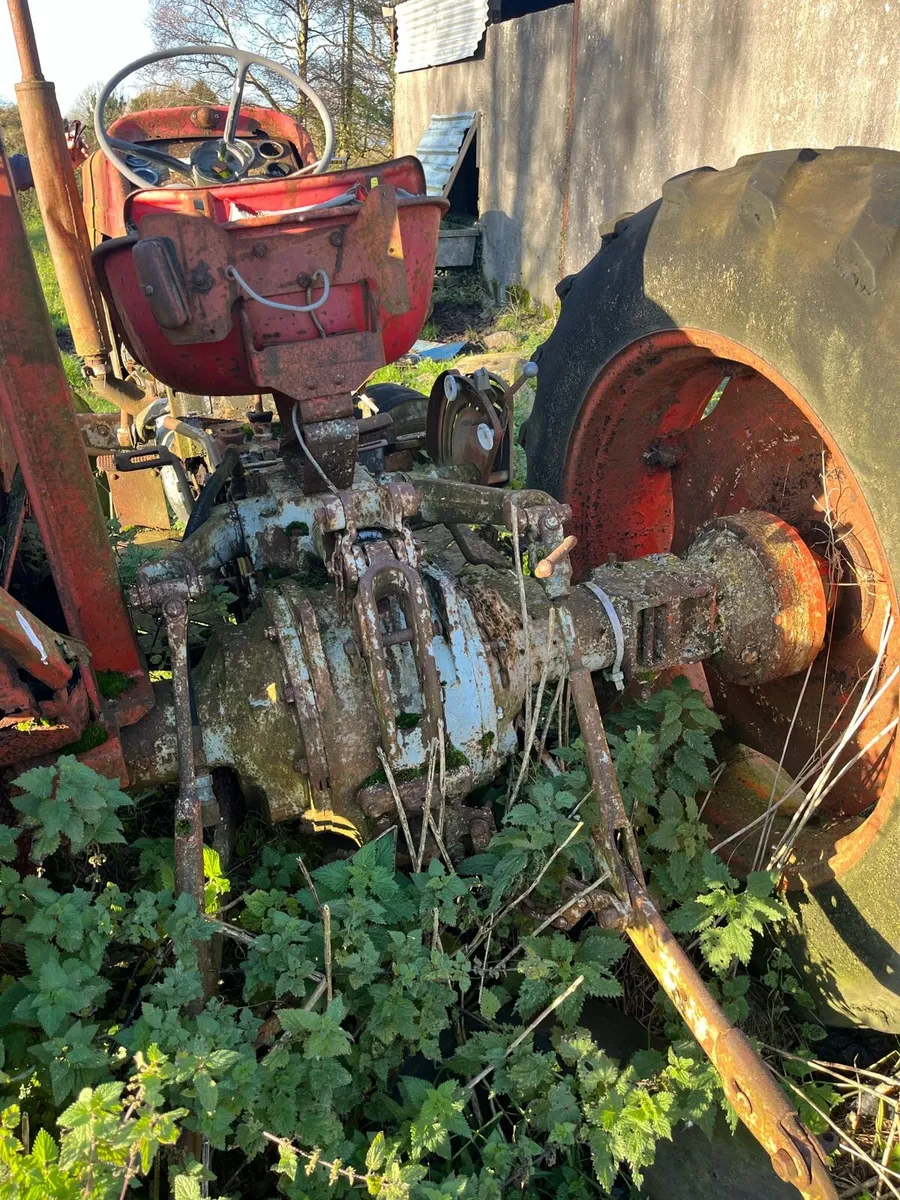 Massey Ferguson 165 - Image 4