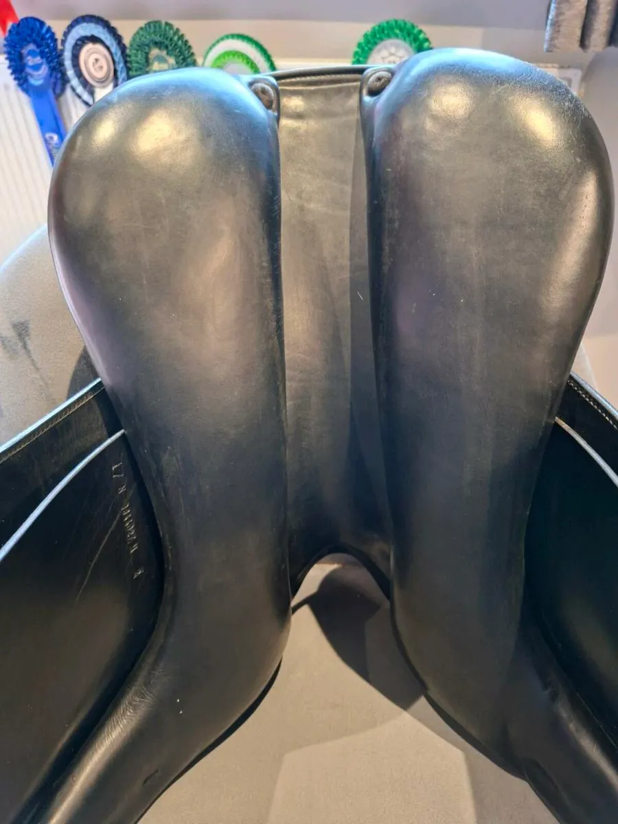 Amerigo Vega dressage saddle - Image 2