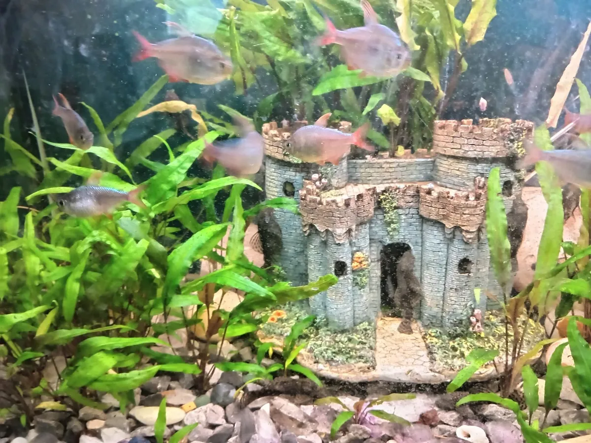 House Clearance - Image 4