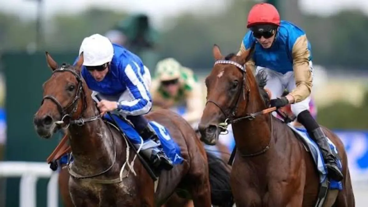 Sister to Group and grade 1 performers - Image 3