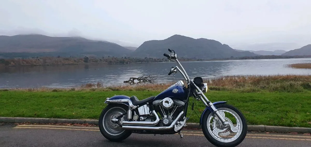 Harley davidson softail 1988 vintage - Image 2