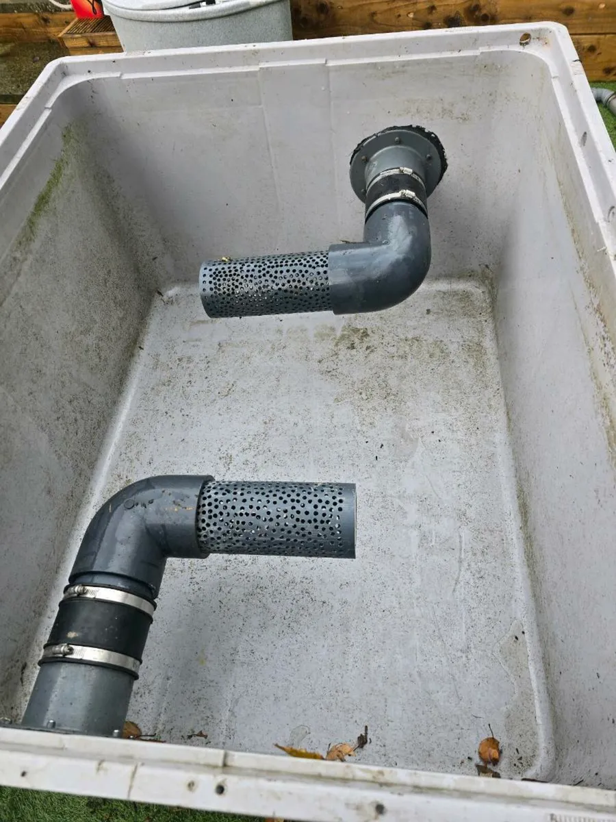 Koi fish and pong equipment - Image 4