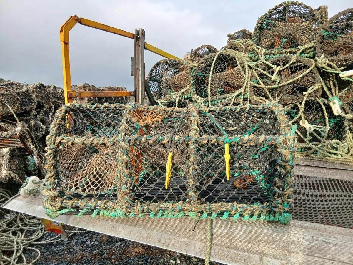 Lobster Pots - Image 3