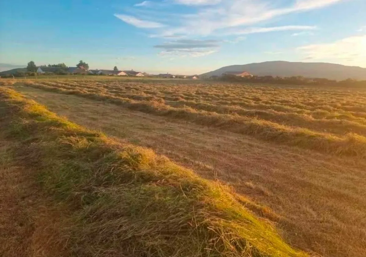 Silage Bales - Image 1