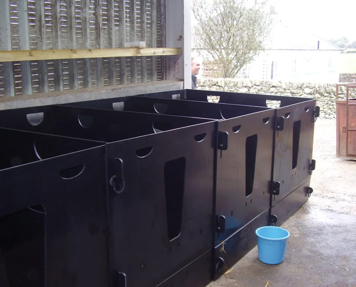 Calf Pens - Image 1