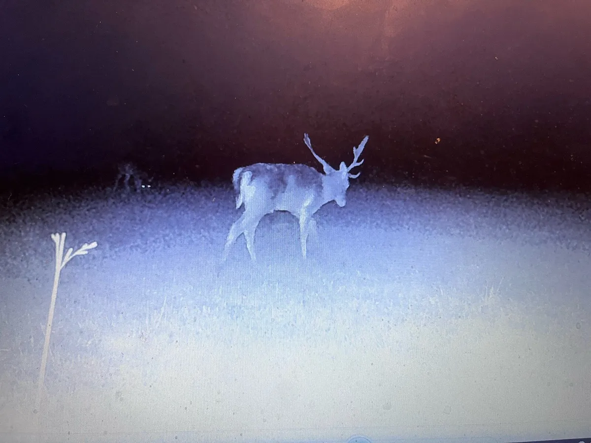 Deer management and deer control - Image 4