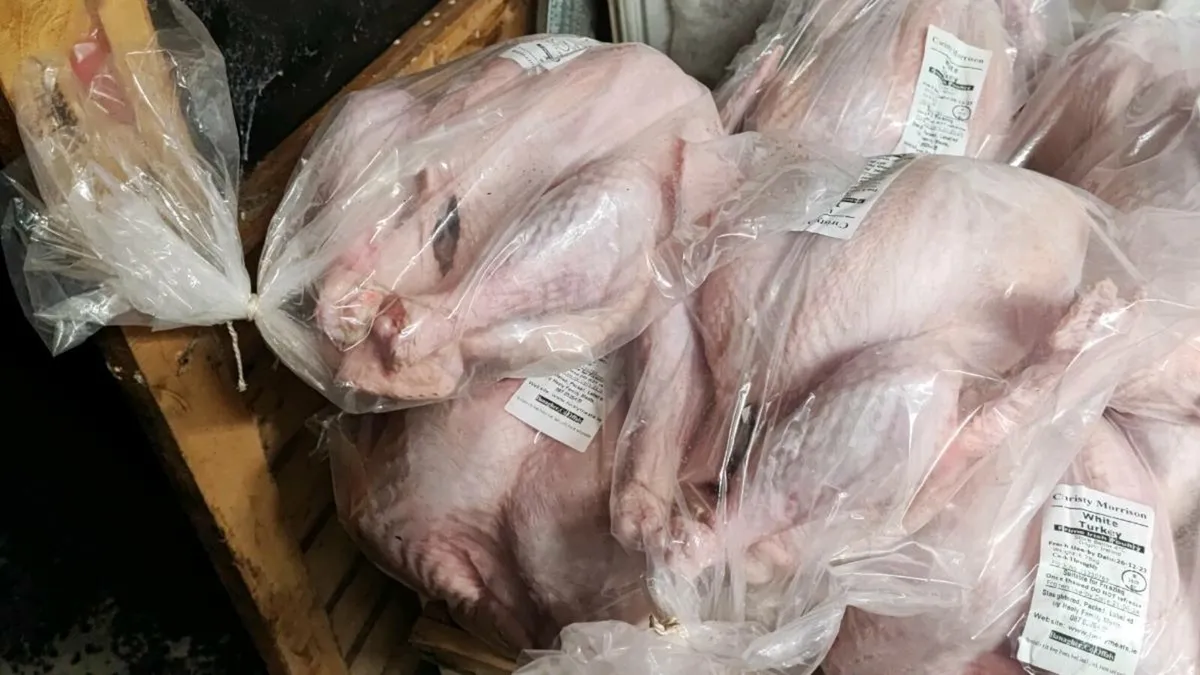 Farm Reared Turkey - Image 1