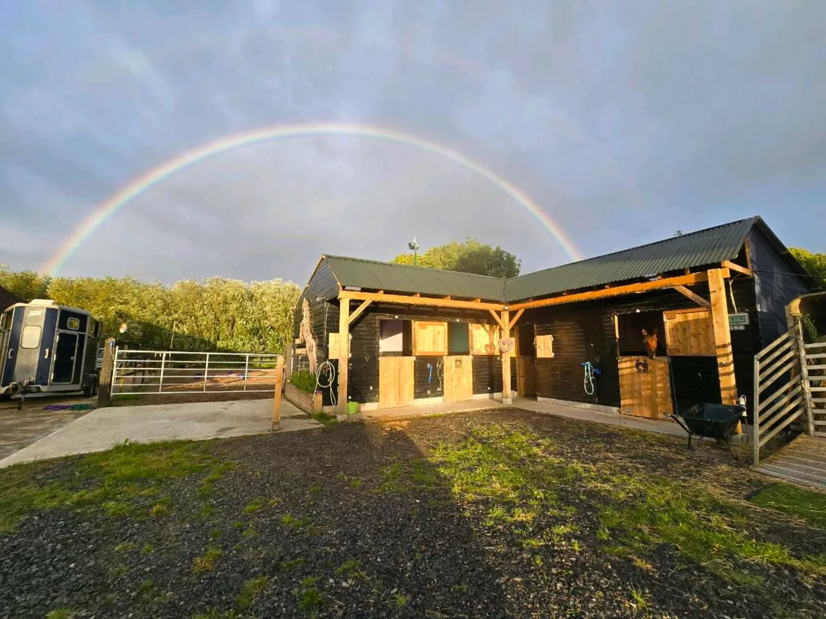Breaking and Schooling Livery - Image 1