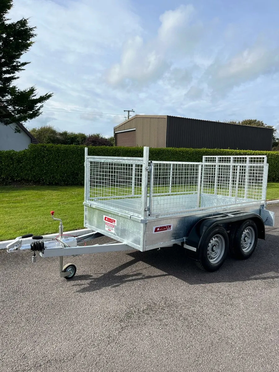 Cronin 8'2x4'2 double axle - Image 3