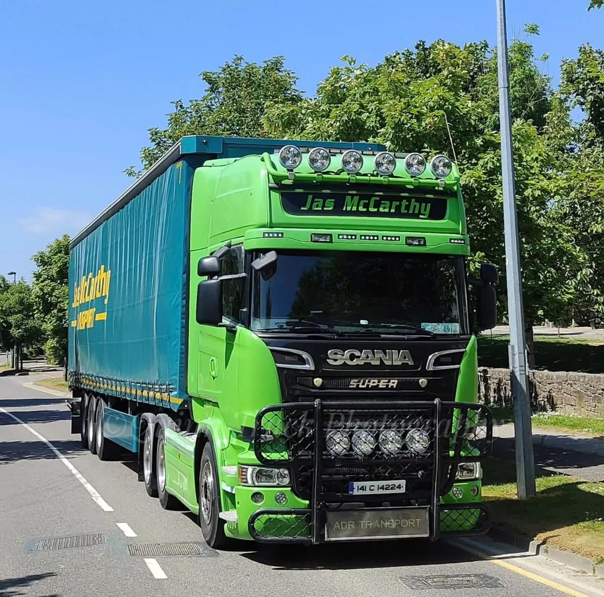 Scania BullBar - Image 1