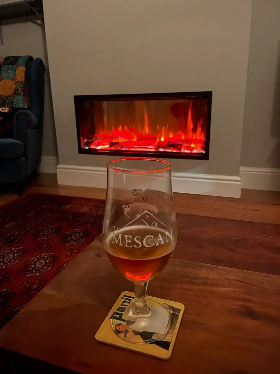 Iconic 1000 Electric Fireplace - Image 1