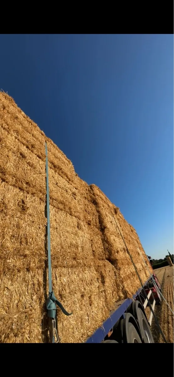 Chopped Wheat straw 8x4x3 - Image 2