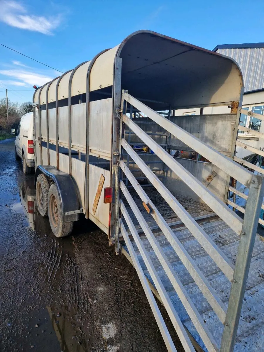 Cattle trailer - Image 4