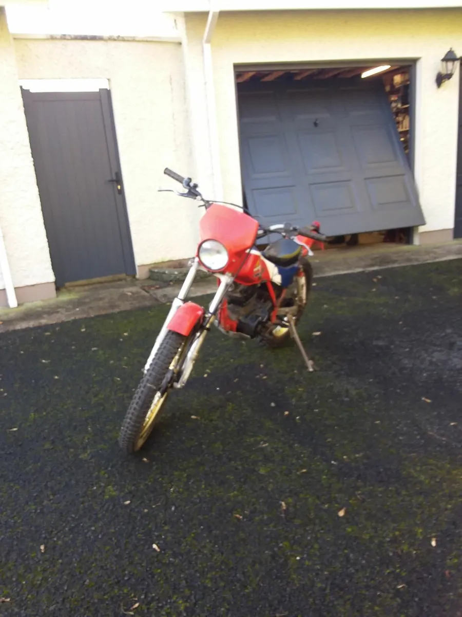 Honda TLR 200 - Image 1