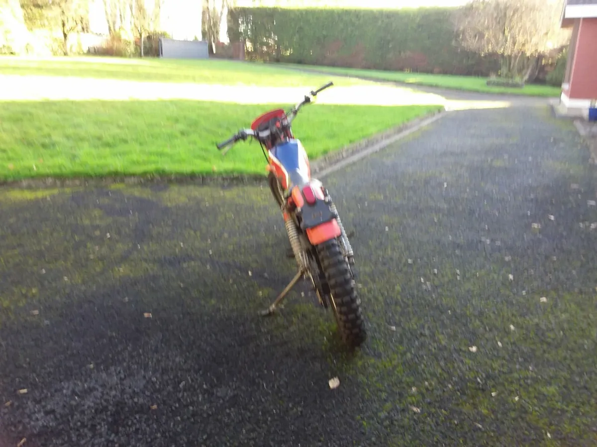 Honda TLR 200 - Image 2