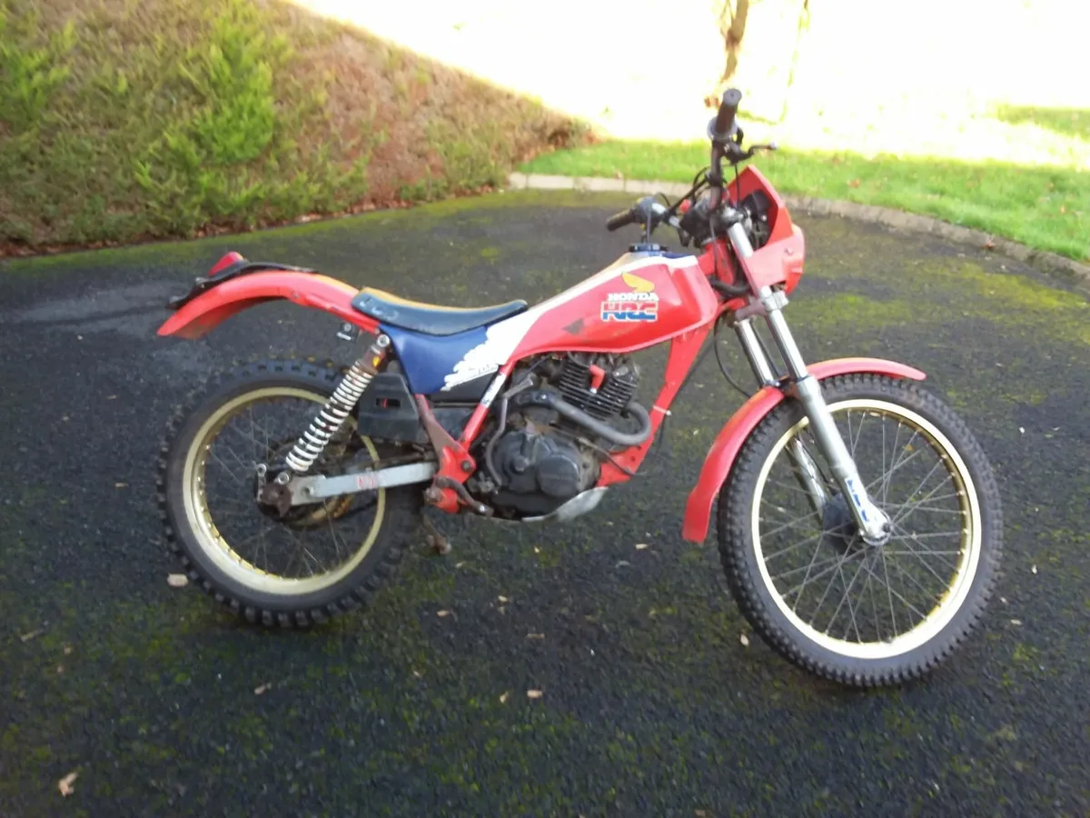 Honda TLR 200 - Image 4