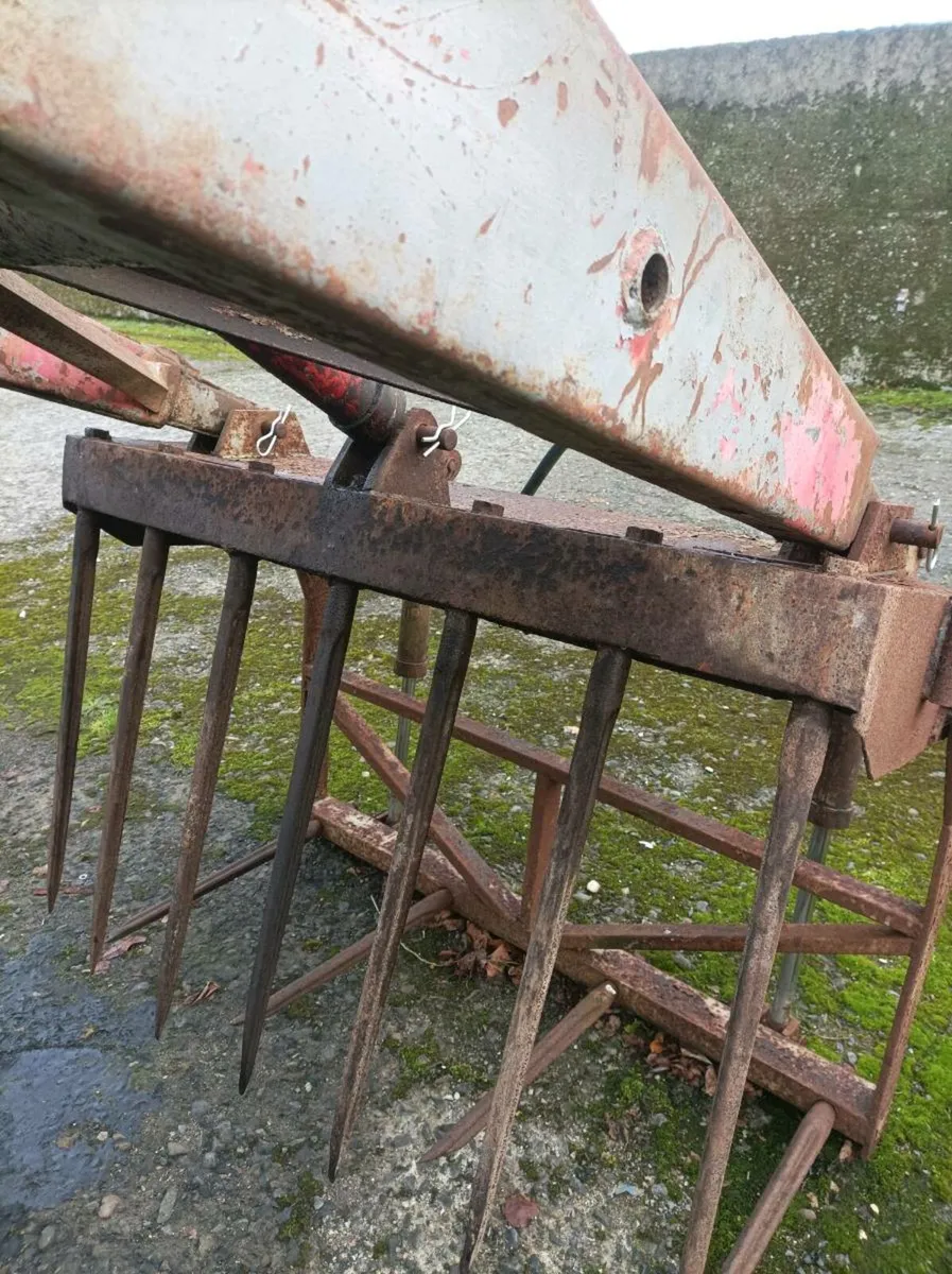 Tine grabs - Image 2