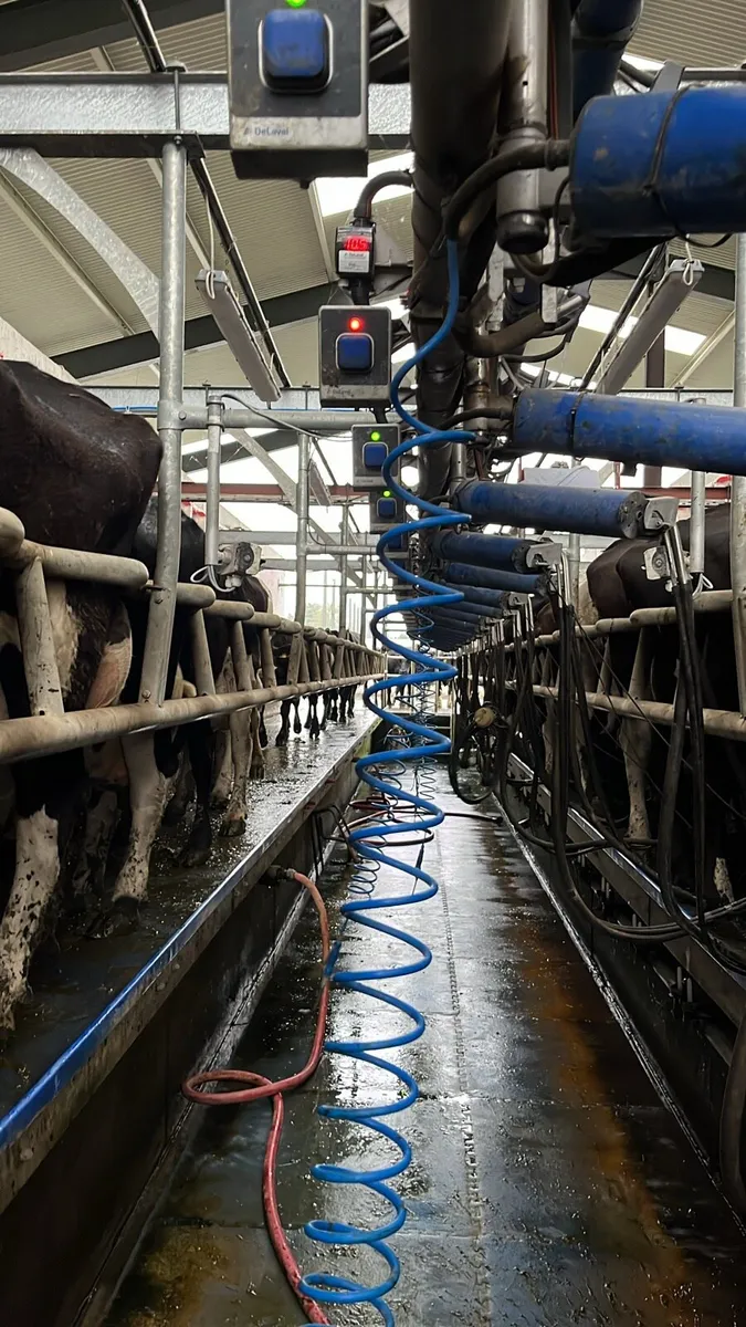 Relief milker and farm worker available!