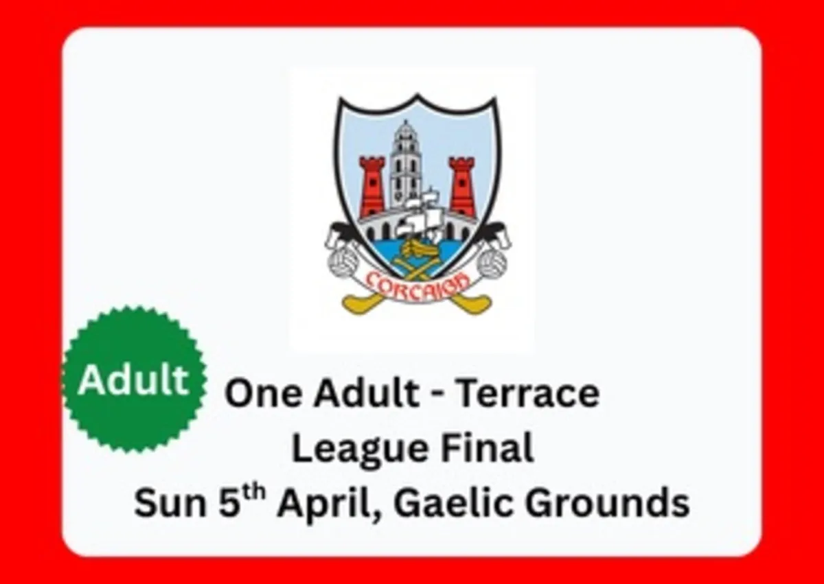 Multiple Terrace Cork v Limerick League Final
