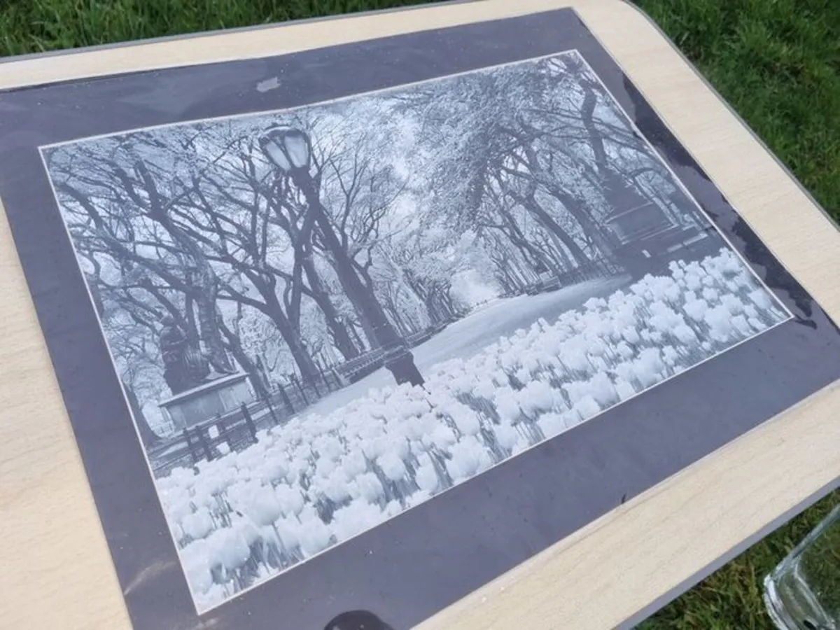Large art photograph of Central Park in New York - Image 3