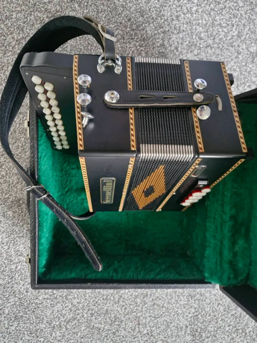 Serenelli Accordion - Image 2