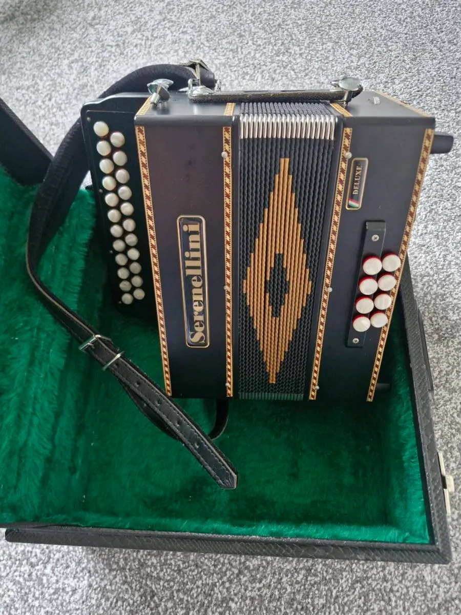 Serenelli Accordion - Image 3