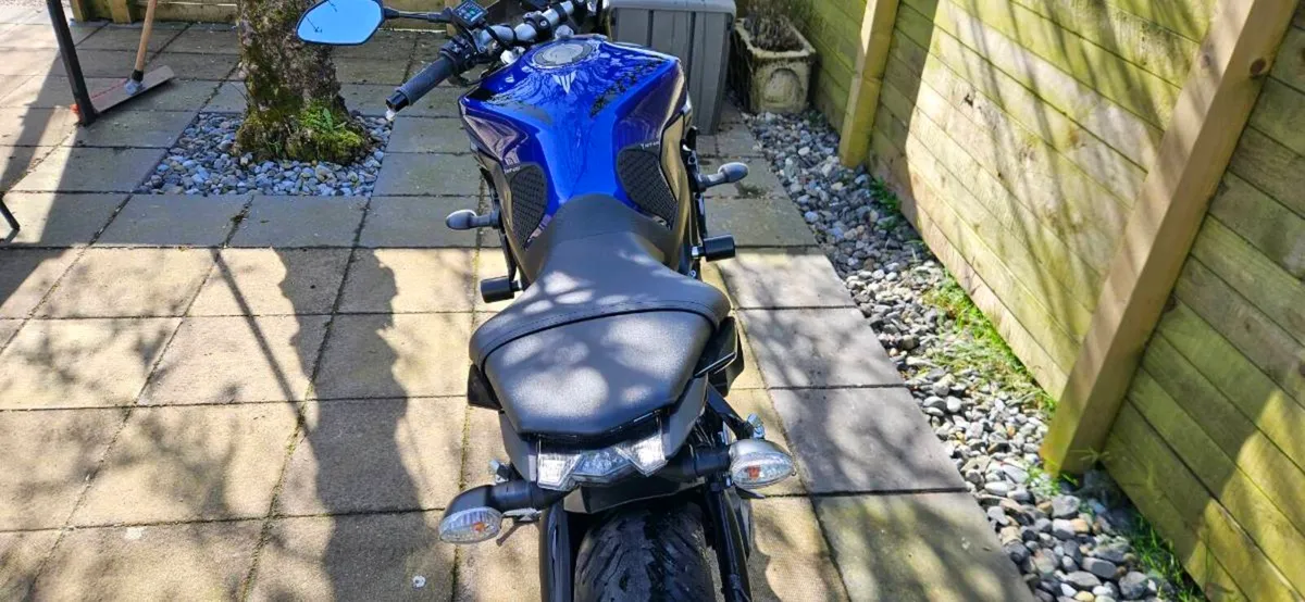 Yamaha MT09 - Image 4