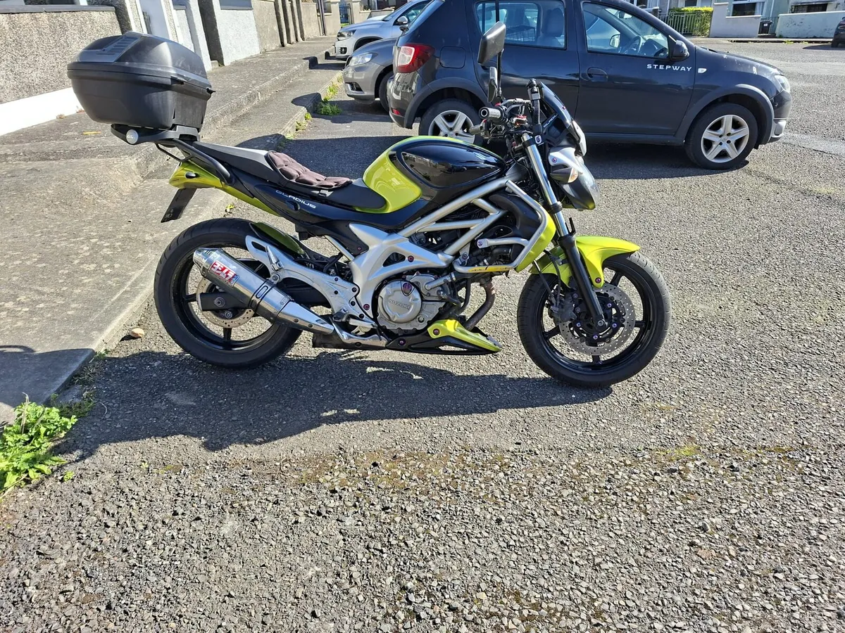 Suzuki Gladius - Image 3
