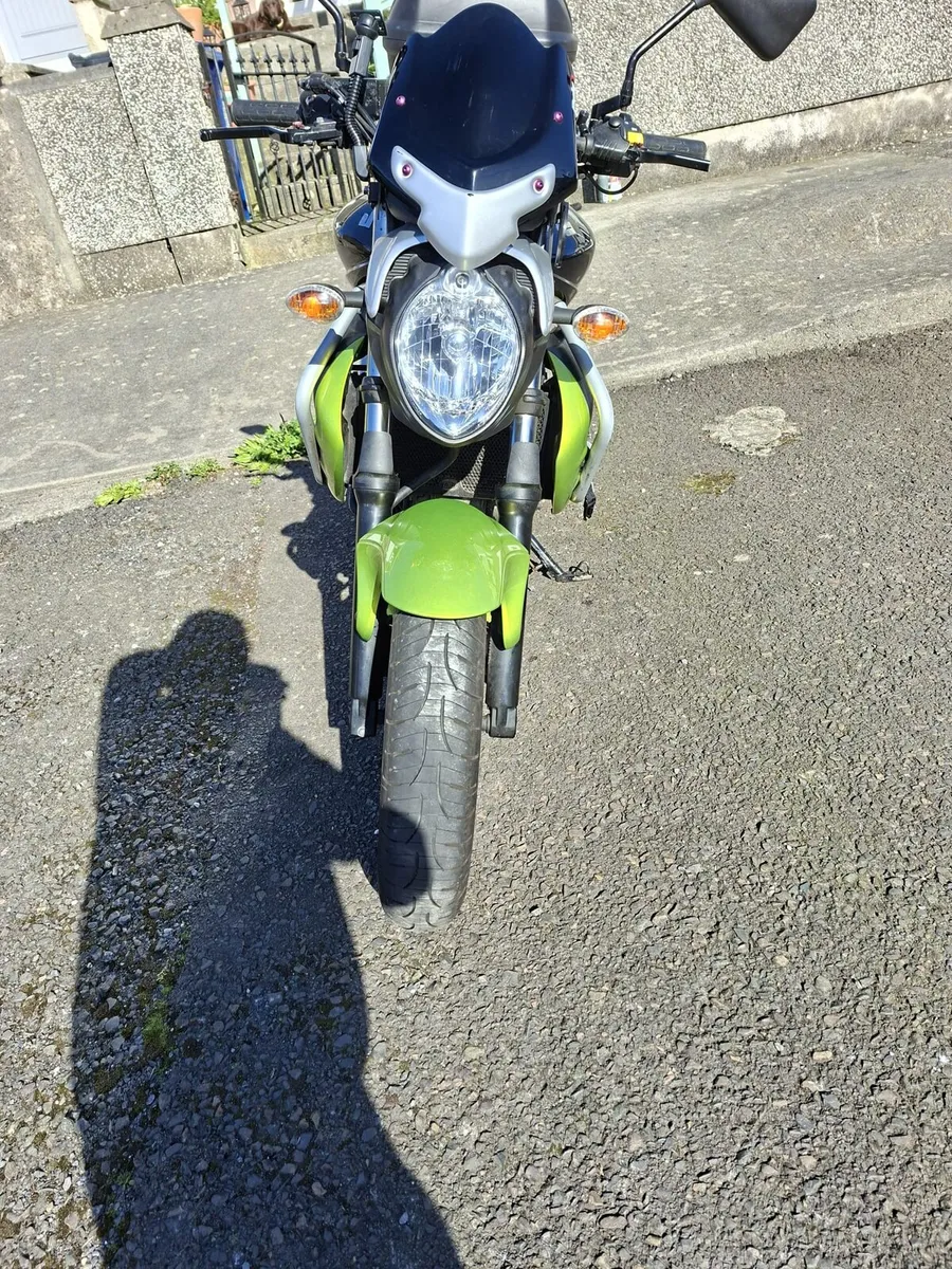 Suzuki Gladius - Image 2