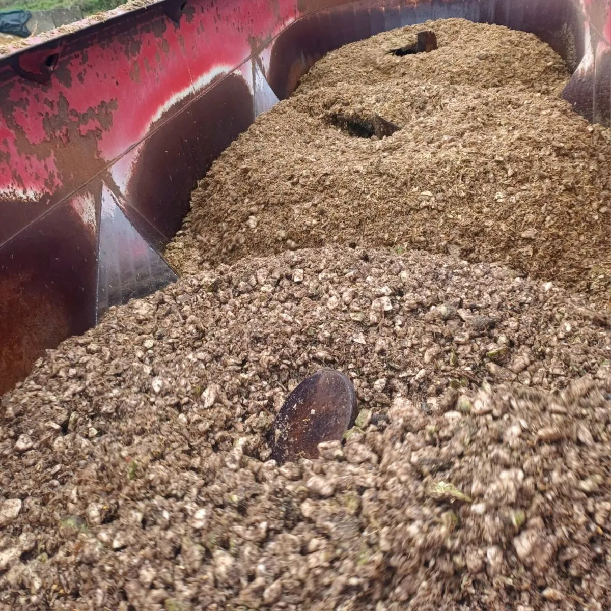 Sugar Beet maize and wholecrop mix