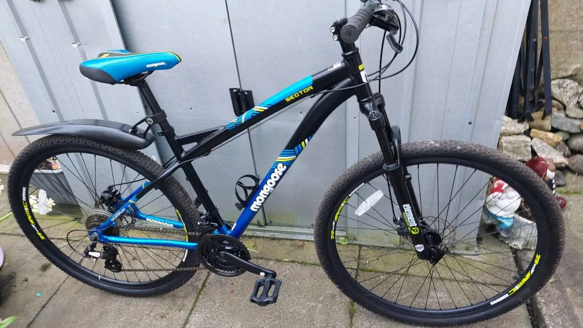 Gents Large Frame Mountain Bike - Image 1