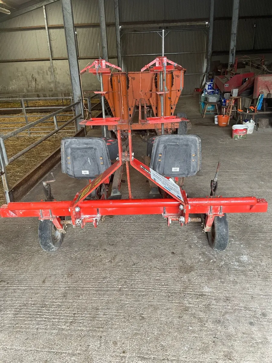 Vegetable planter - Image 2