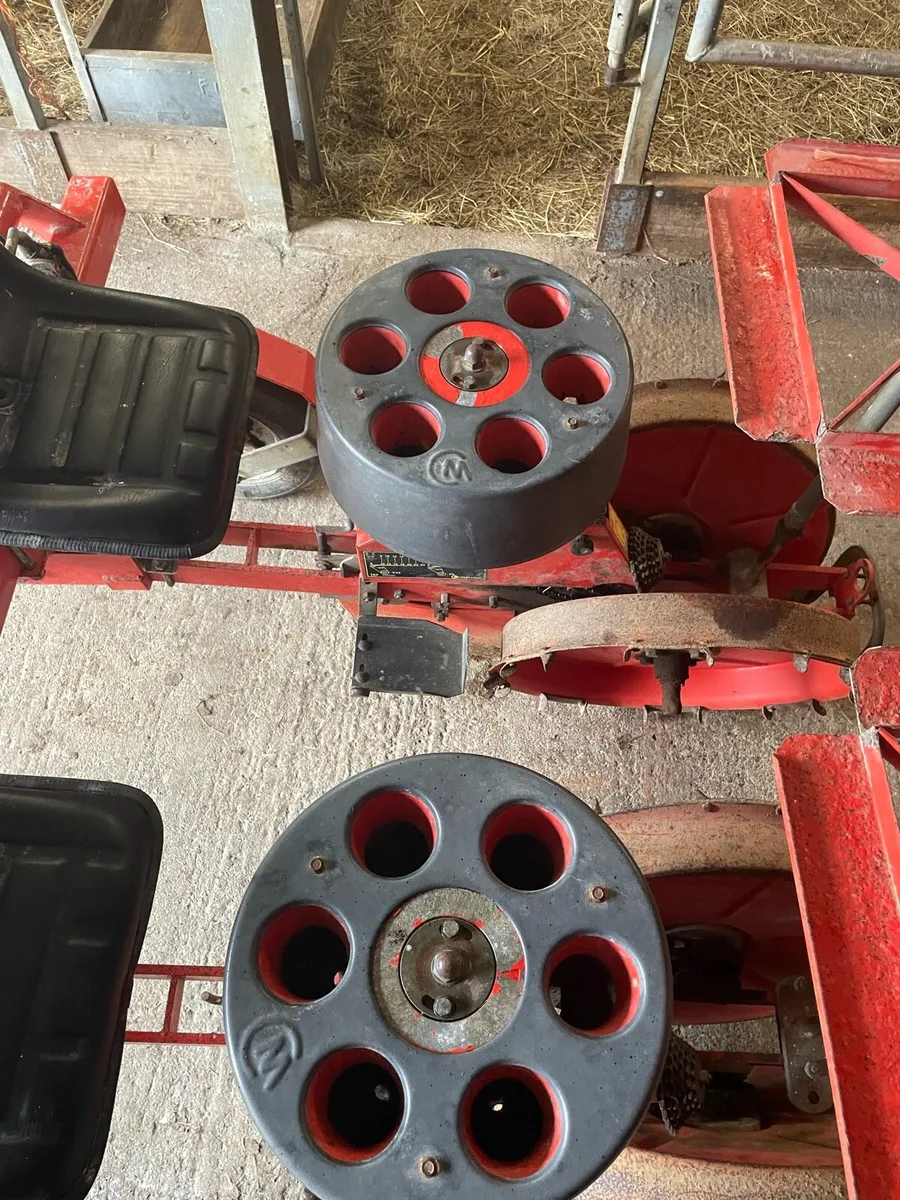 Vegetable planter - Image 3