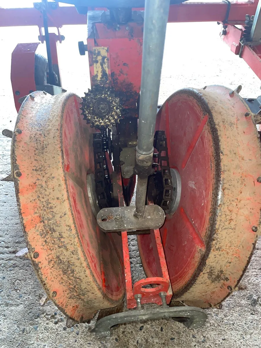 Vegetable planter - Image 4