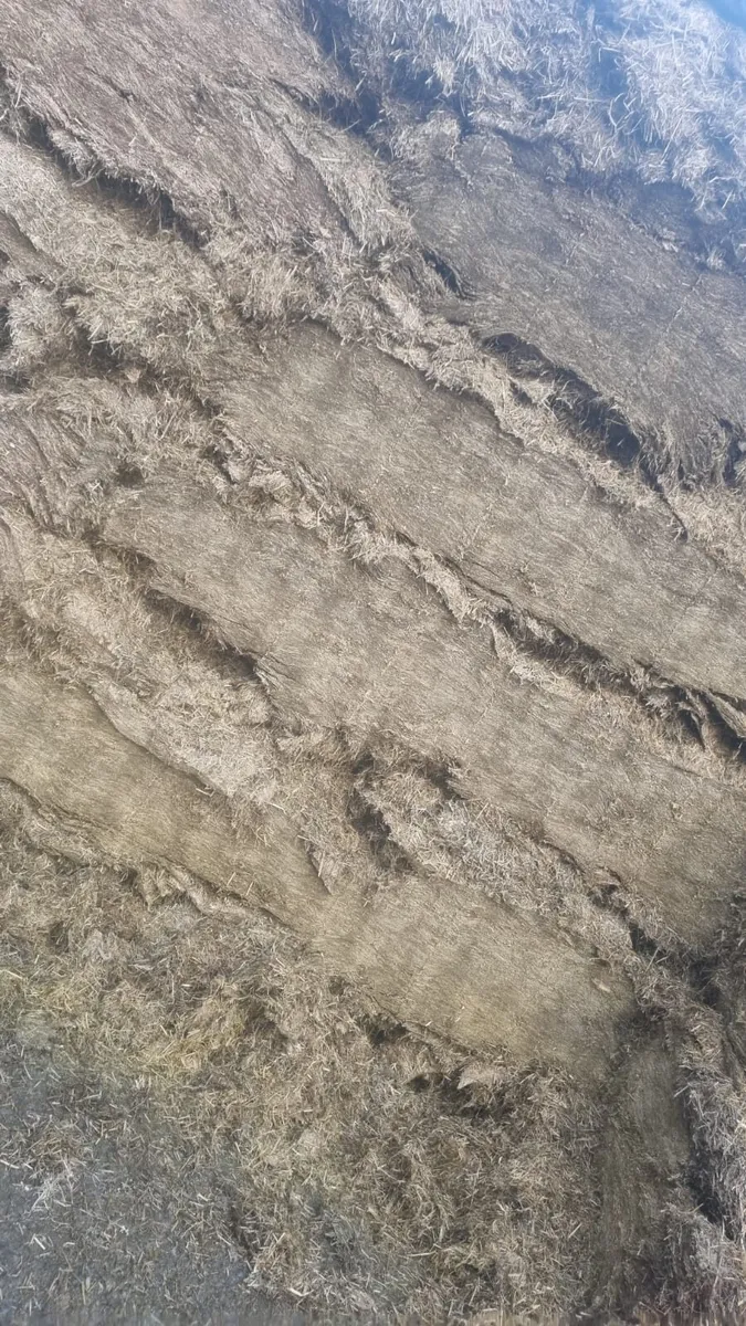 First cut silage - Image 1