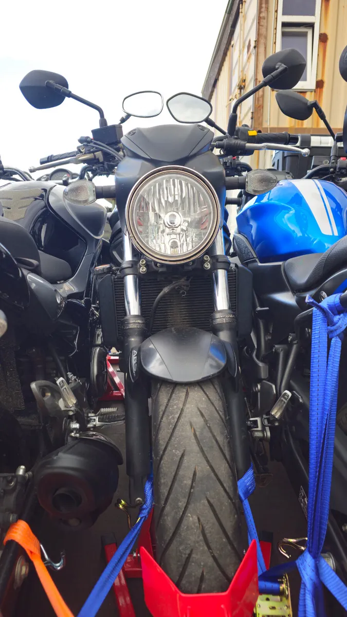 New stock arriving today - Image 4