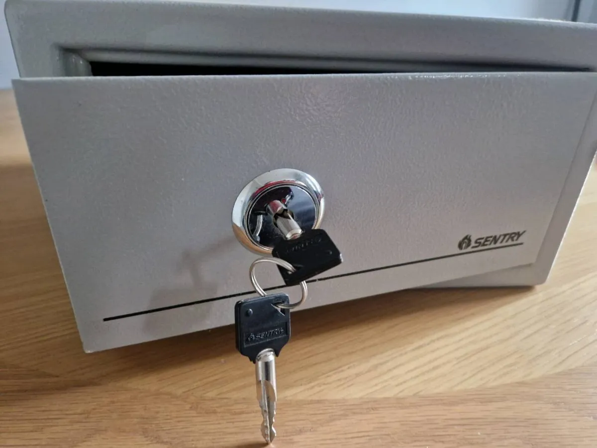 Sentry safe - Image 1