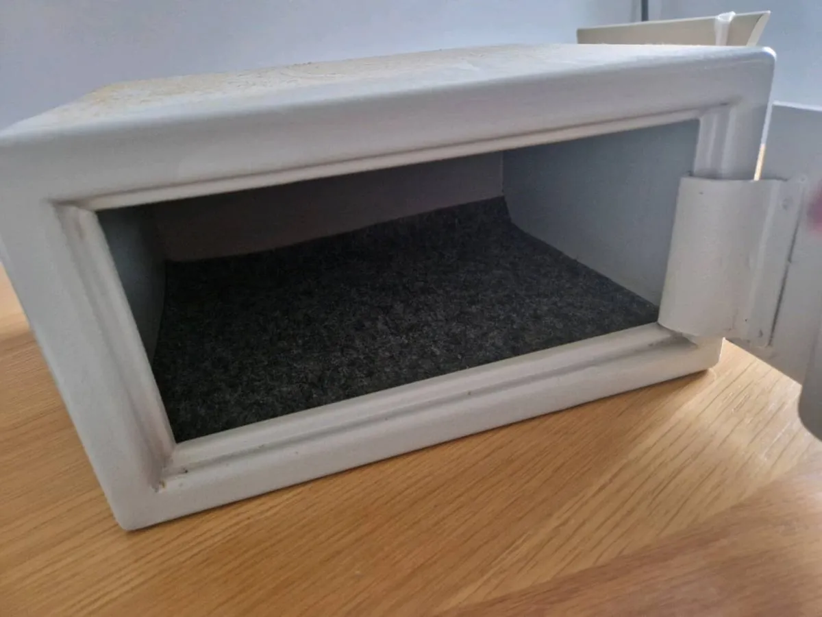 Sentry safe - Image 3