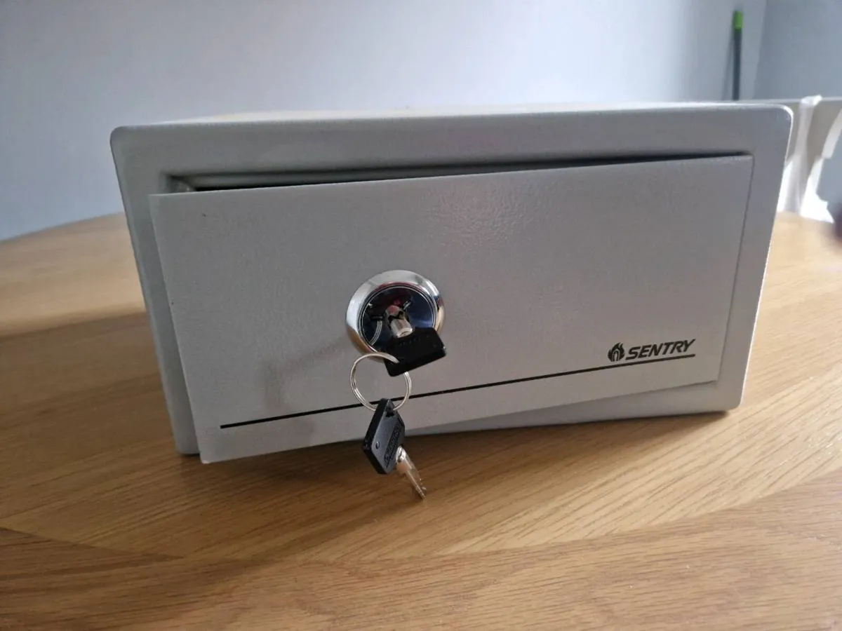 Sentry safe - Image 4