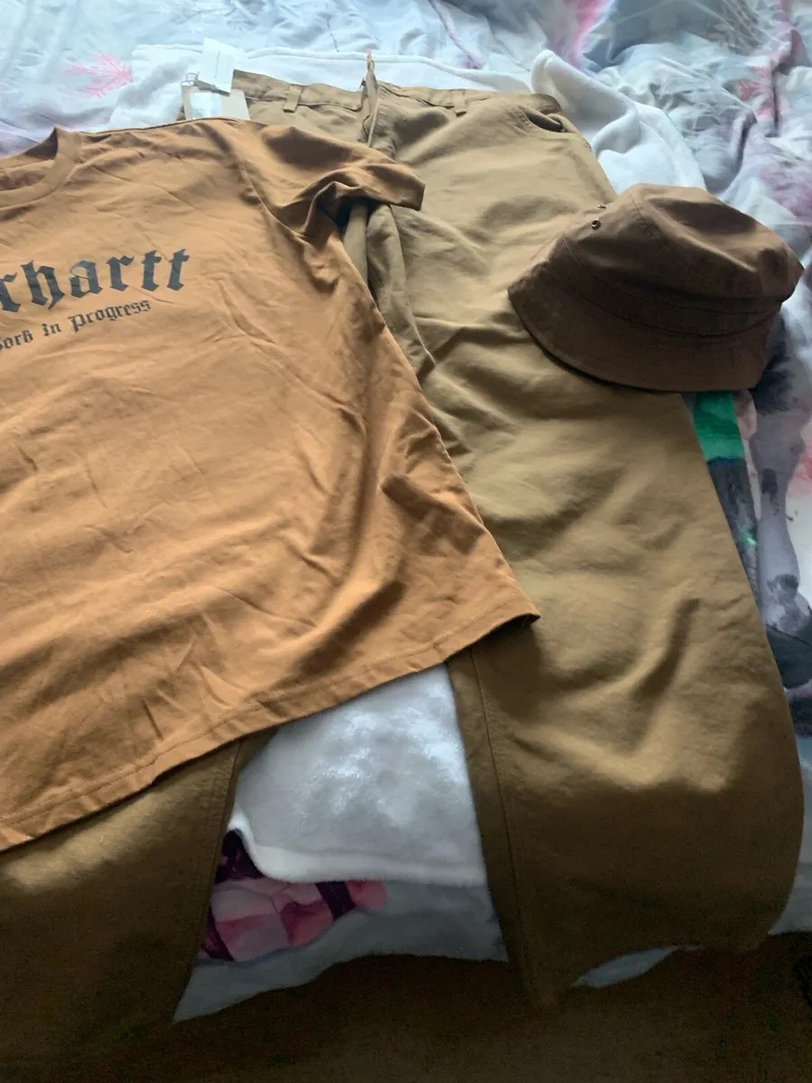 Carhartt pants 34 w32 leg t shirt new hat - Image 1